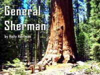 General_Sherman